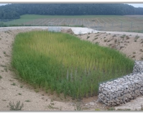 Abwasserbeseitigung in Buckenreuth